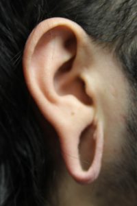 C. Gauged right earlobe